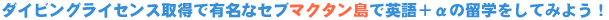 ダイビングライセンス取得で有名なセブ マクタン島で英語＋αの留学をしてみよう！