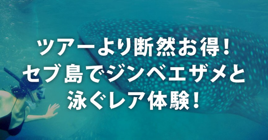 ツアーより断然お得！セブ島でジンベエザメと泳ぐレア体験！