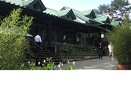 フィリピン留学 BAGUIO JIC
