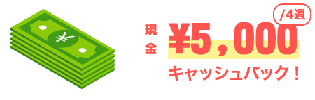キャッシュバック条件&内容