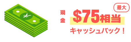 キャッシュバック条件&内容