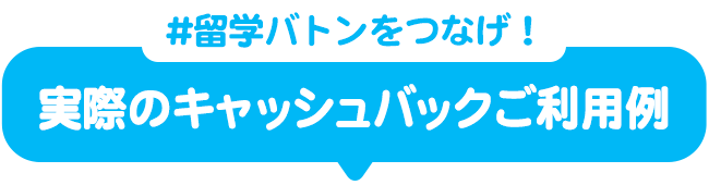 実際のキャッシュバックご利用例