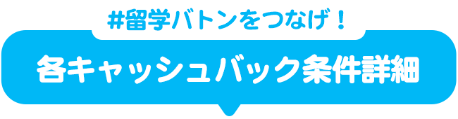 各キャッシュバック条件詳細