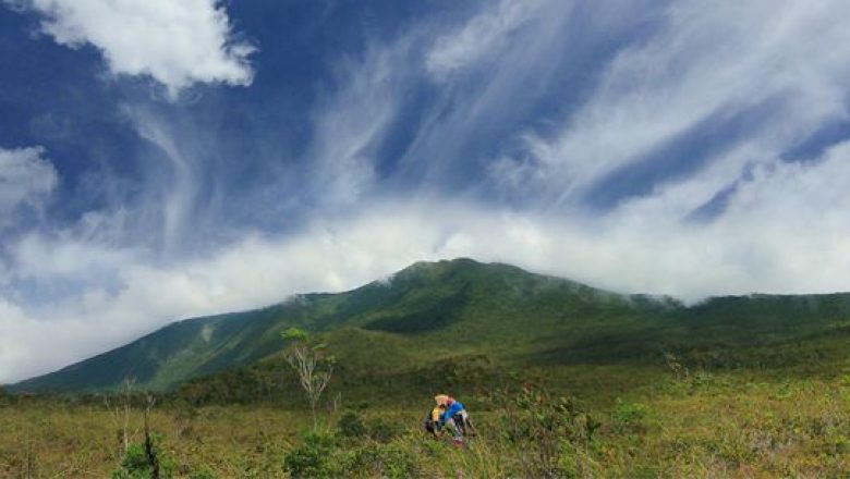 ハミギタン山地野生生物保護区