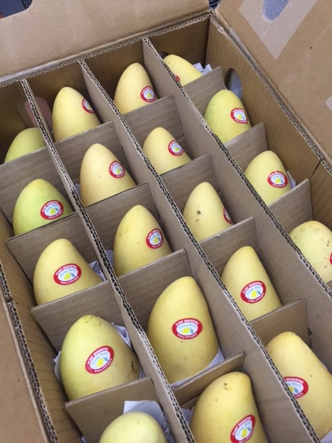 1mango.jpg
