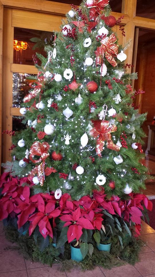 e58d97_from_facebook1.jpg