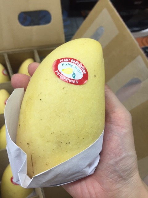 mango2.jpg