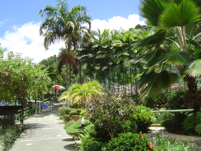dsc05407.JPG