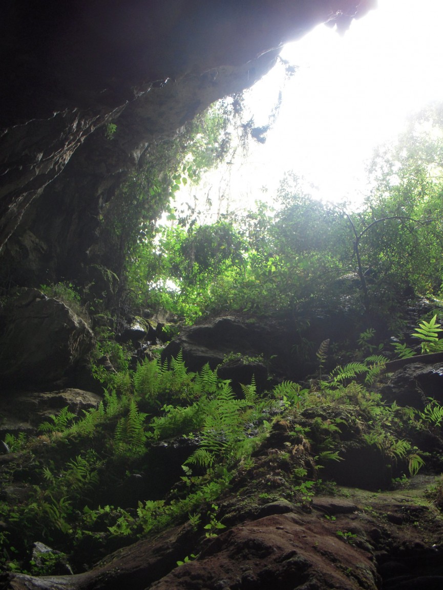 SAGADA - 6