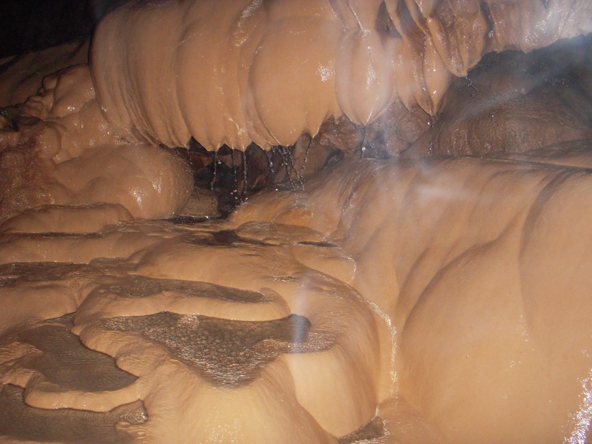 SAGADA - 8