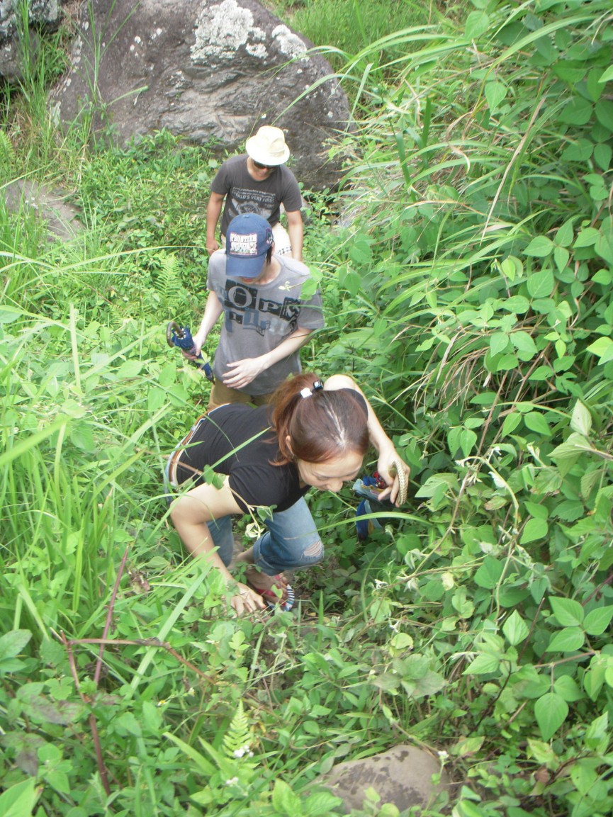 SAGADA - 16