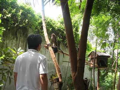 img_6879.jpg
