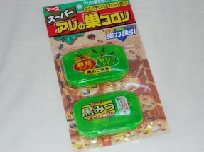 南国の天敵…虫!!!（特にアリ）