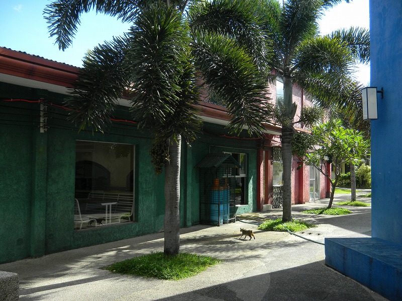dscn1317.jpg