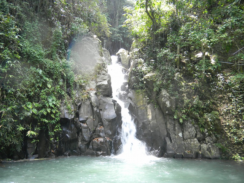 dscn1351.jpg