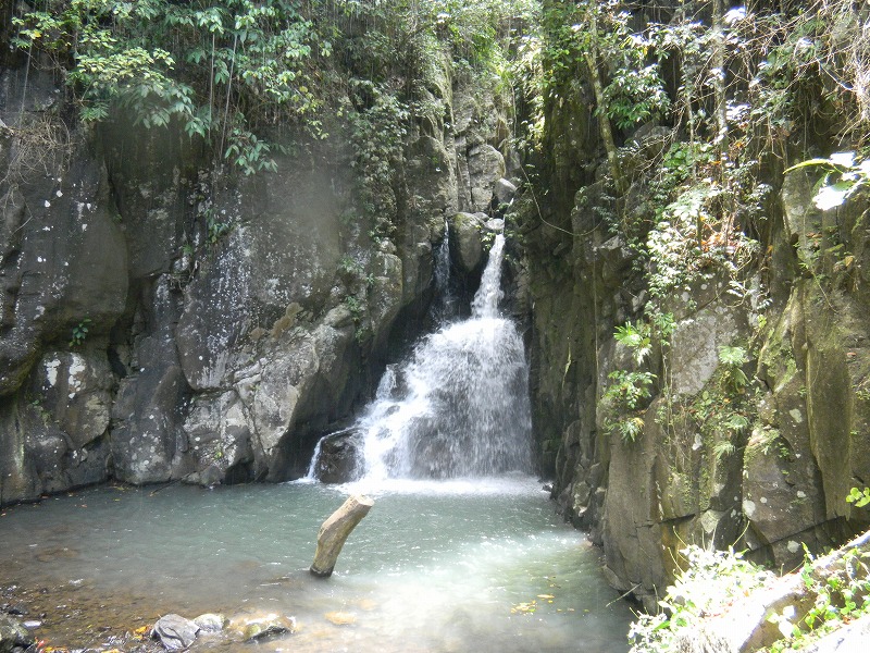 dscn1353.jpg