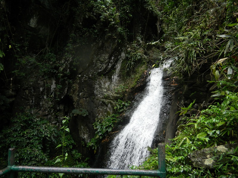 dscn1354.jpg