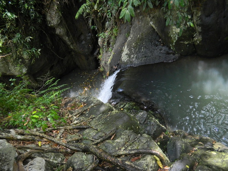 dscn1364.jpg