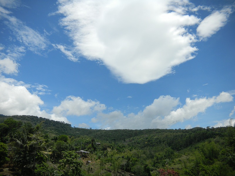 dscn1378.jpg