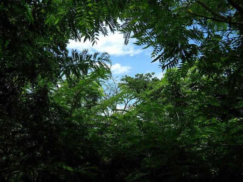 dscn1386.jpg