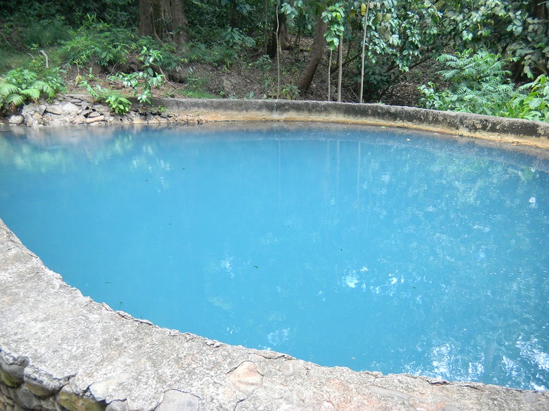 dscn1393.jpg