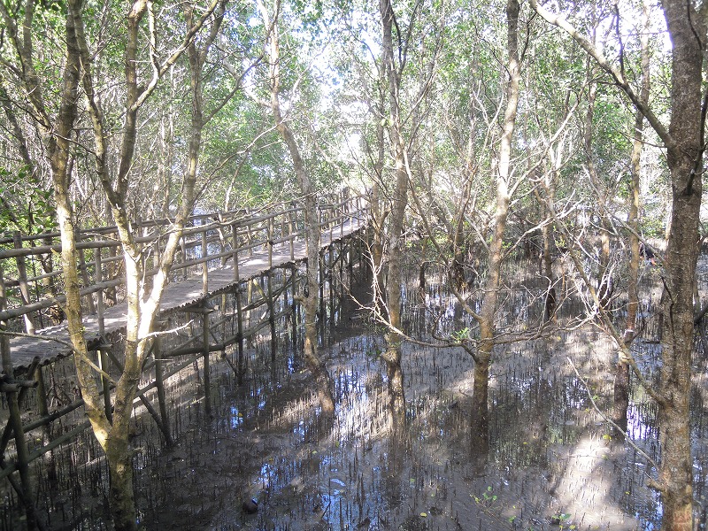 dscn0940.jpg