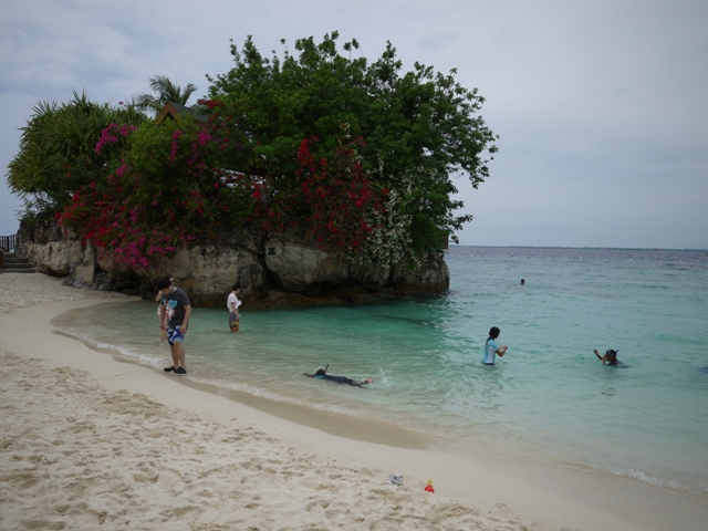 p1020185.JPG