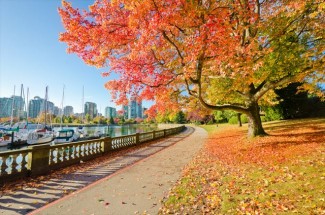 カナダ留学を本格的に始めました！カナダ永住権取得に有利なCo-opビザ！