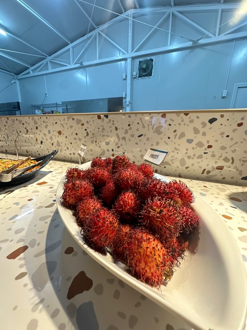 フィリピン留学 Cebu21 - A&J ECO CAMPUS-Meal-48