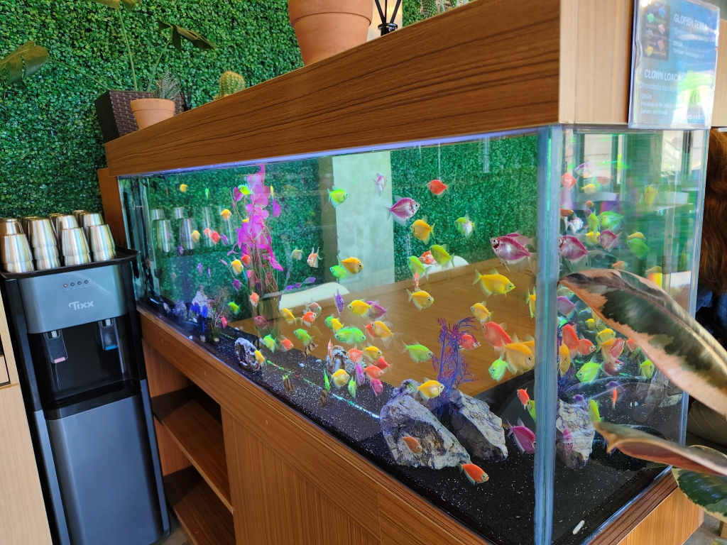 フィリピン留学 Cebu21 - Monol-Cafe-28