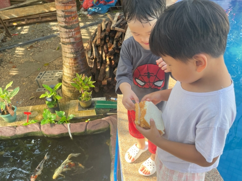 フィリピン留学 Cebu21 - Boracay Coco English-Kids-25