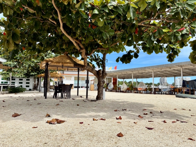 フィリピン留学 Cebu21 - SMEAG ENCANTO-Activity-3