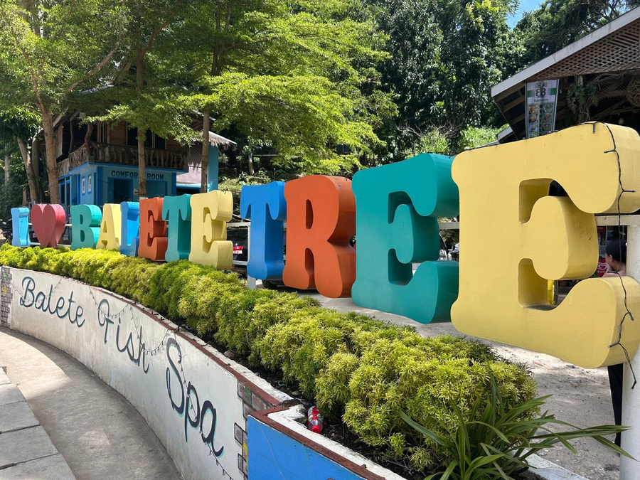 Balete Fish Spa & Balete Tree -ドクターフィッシュと魔女の木-